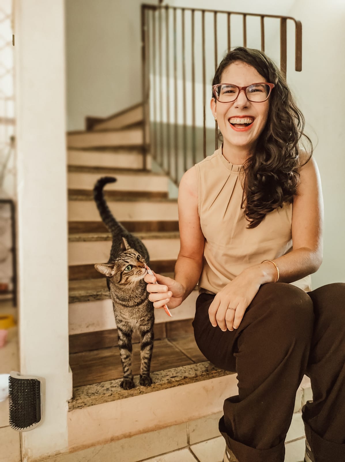 Tutora olhando o gato em cima da gatificação